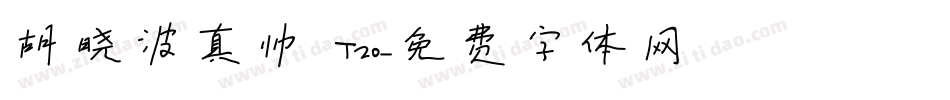 胡晓波真帅 T20字体转换